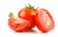 /album/galeria-de-fotos-sementeira-de-janeiro/tomate-jpg/